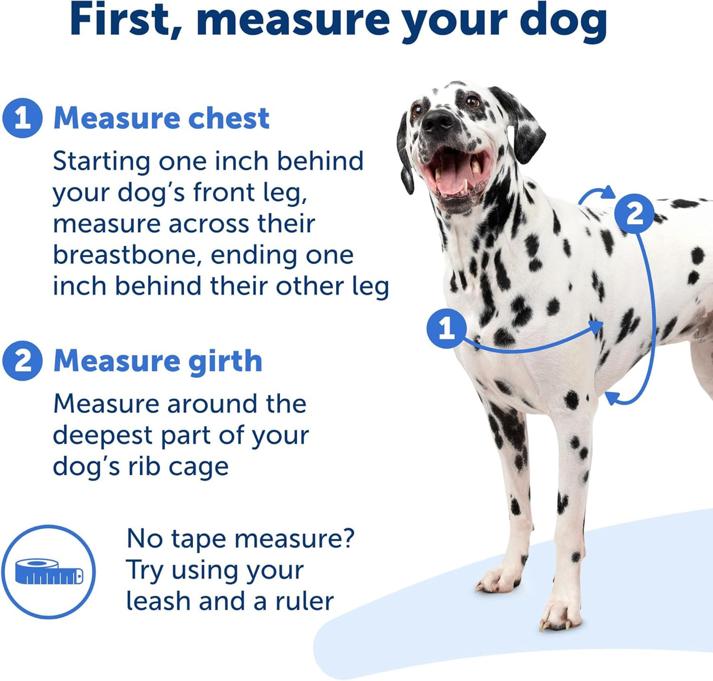 Deluxe Easy Walk Harness - Trainer-Trusted Dog Chest Harness with Breathable Martingale Loop Design - Helps Stop Pulling with No Choking & Gagging - Small - Apple