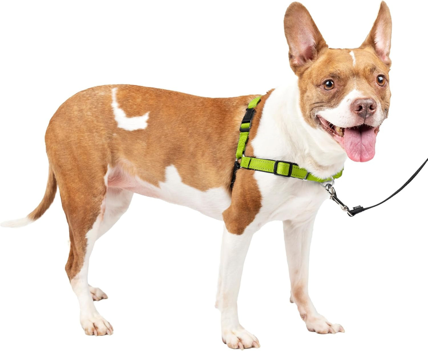 Deluxe Easy Walk Harness - Trainer-Trusted Dog Chest Harness with Breathable Martingale Loop Design - Helps Stop Pulling with No Choking & Gagging - Small - Apple