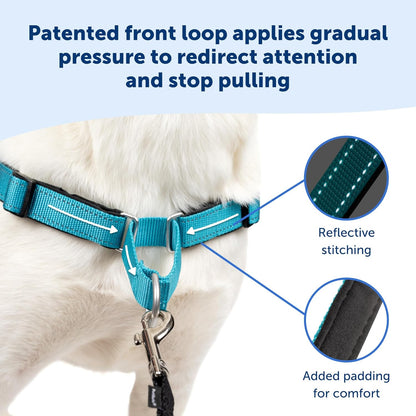 Deluxe Easy Walk Harness - Trainer-Trusted Dog Chest Harness with Breathable Martingale Loop Design - Helps Stop Pulling with No Choking & Gagging - Small - Apple