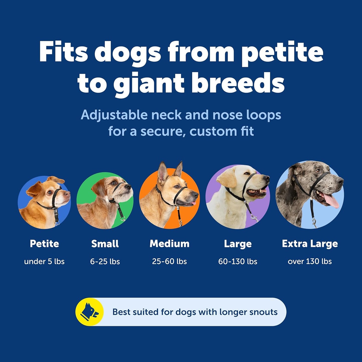 Gentle Leader Headcollar No-Pull Dog Collar - Helps Improve Walks - Durable Nylon Construction - Padded Nose Loop - Adjustable Fit - Comfort Walking Halter - Medium, Black