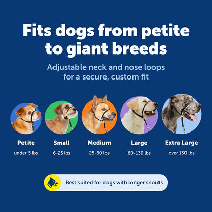 Gentle Leader Headcollar No-Pull Dog Collar - Helps Improve Walks - Durable Nylon Construction - Padded Nose Loop - Adjustable Fit - Comfort Walking Halter - Medium, Black