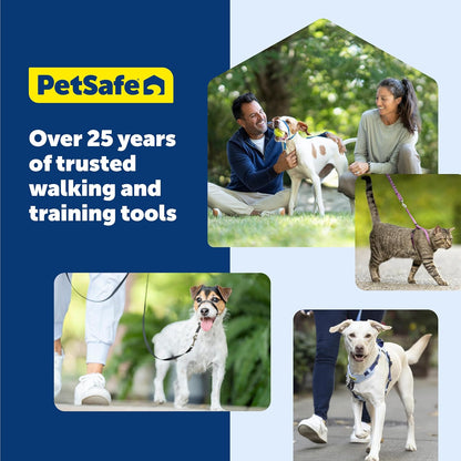 Gentle Leader Headcollar No-Pull Dog Collar - Helps Improve Walks - Durable Nylon Construction - Padded Nose Loop - Adjustable Fit - Comfort Walking Halter - Medium, Black