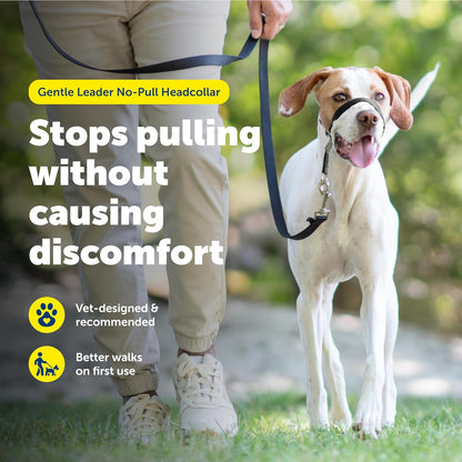 Gentle Leader Headcollar No-Pull Dog Collar - Helps Improve Walks - Durable Nylon Construction - Padded Nose Loop - Adjustable Fit - Comfort Walking Halter - Medium, Black