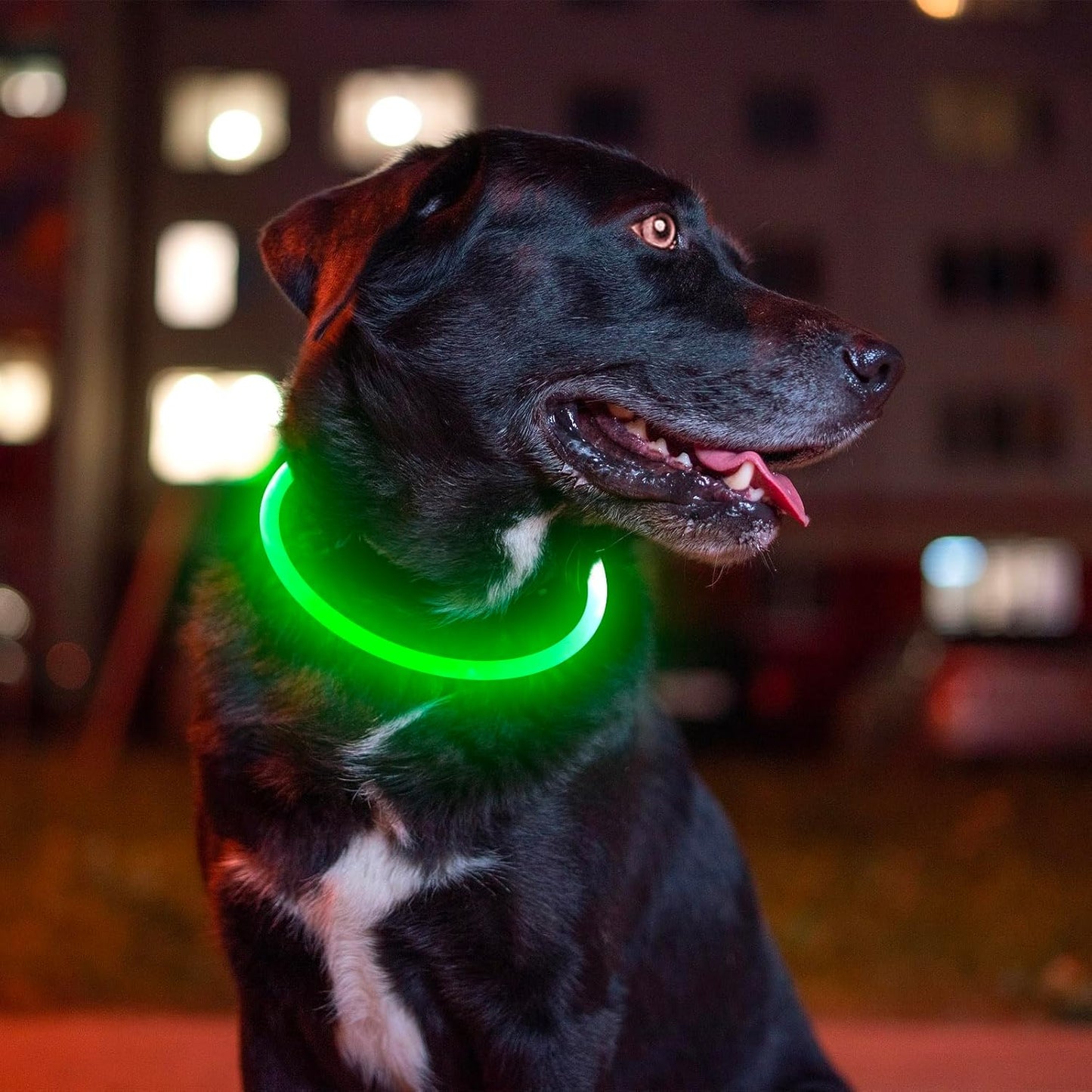Led Dog Collar,  USB Rechargeable Flash Dog Necklace Light, Pet Safety Collar Makes Your Beloved Dogs Be Seen at Night for Small Medium Large Dogs
